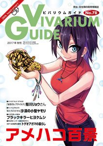 絶版品　ビバリュームガイド創刊〜78号 絶版品 ビバリュームガイド創刊〜78号 ビバリウムガイド(Vivarium