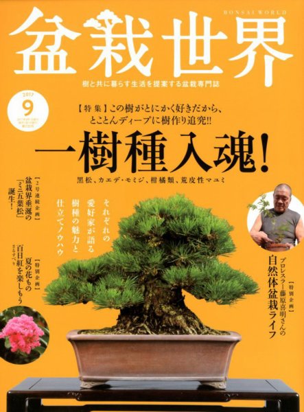 盆栽世界 2017年9月号 (発売日2017年08月04日) 表紙
