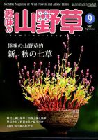 趣味の山野草 2017年01月号 隔月刊「山野草とミニ盆栽」18年初夏号 | 盆栽、盆栽書籍、盆栽