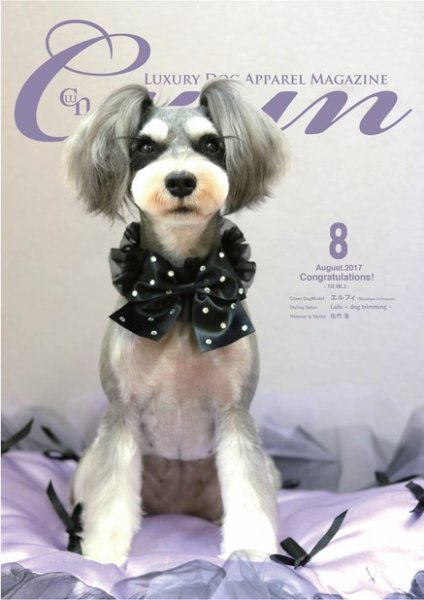 Cuun（クーン） 2017年8月号 (発売日2017年08月10日) 表紙