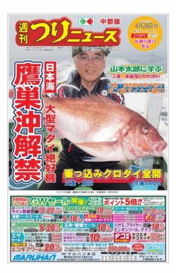 週刊つりニュース　中部版 2017年4月28日号 (発売日2017年04月24日) 表紙