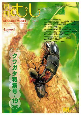 月刊むし 438 (発売日2007年07月20日) 表紙