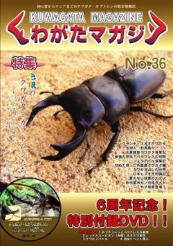 くわがたマガジン Ｎｏ．36 (発売日2007年07月30日) | 雑誌/定期購読の