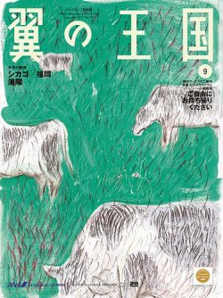翼の王国・TSUBASA －GLOBAL WINGS－ 2017年9月号 (発売日2017年09月01日) 表紙