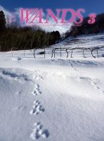 WANDS（ウォンズ） 第379号 表紙