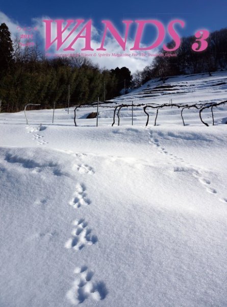 WANDS（ウォンズ） 第379号 (発売日2017年03月07日) 表紙