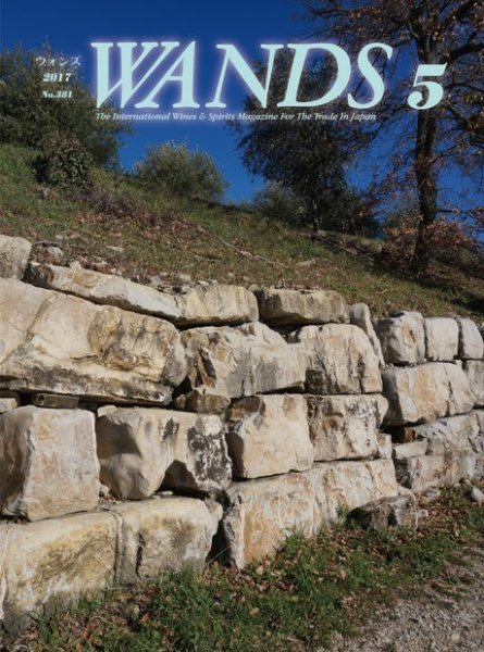 WANDS（ウォンズ） 第381号 (発売日2017年05月09日) 表紙