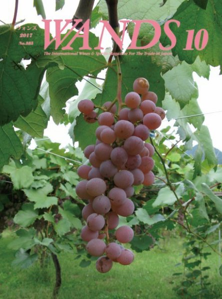 WANDS（ウォンズ） 第385号 (発売日2017年10月07日) 表紙