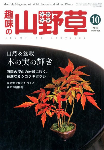 趣味の山野草 2017年10月号 (発売日2017年09月12日) 表紙