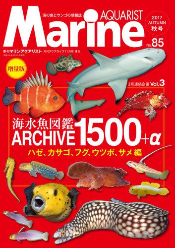 マリンアクアリスト No.85 (発売日2017年09月19日) | 雑誌/定期購読の