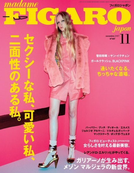フィガロジャポン(madame FIGARO japon) 2017年11月号 (発売日2017年09月20日) 表紙