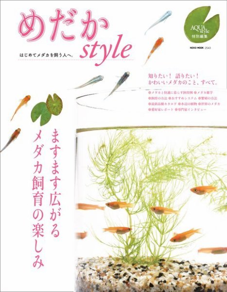 めだかStyle 2017年03月20日発売号 表紙