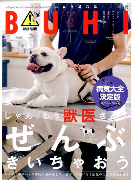 BUHI（ブヒ） 2017年11月号 (発売日2017年09月27日) 表紙