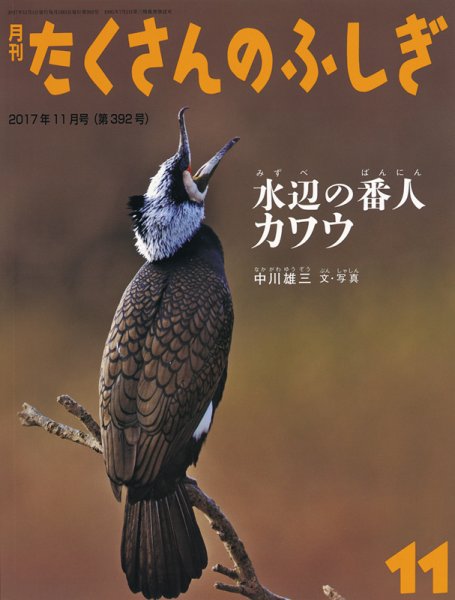 たくさんのふしぎ 2017年11月号 (発売日2017年10月03日) 表紙