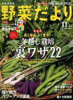 野菜だより 2017年11月号 表紙
