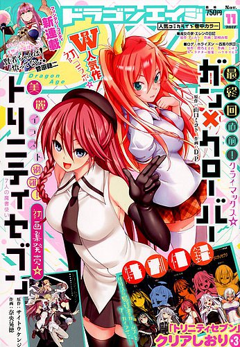 月刊ドラゴンエイジ 2003年11月号～2004年12月号まで 14冊まとめ