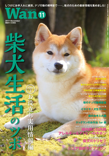 Wan わん 17年11月号 発売日17年10月13日 雑誌 電子書籍 定期購読の予約はfujisan