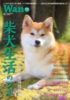 wan（わん） 2017年11月号 表紙