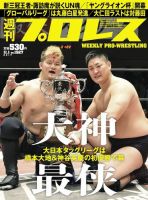 週刊プロレス 2017年11/1号 (発売日2017年10月18日) 表紙