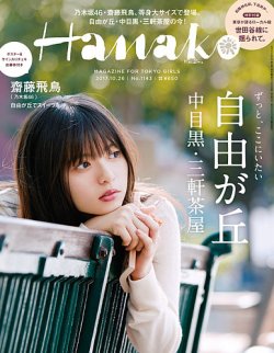 hanako コレクション 雑誌 サイズ