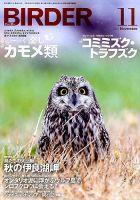 BIRDER（バーダー） 2017年11月号 表紙