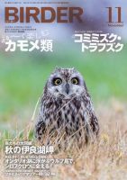 BIRDER（バーダー） 2017年11月号 (発売日2017年10月16日) 表紙