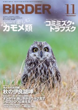 BIRDER（バーダー） 2017年11月号 (発売日2017年10月16日) | 雑誌/電子 