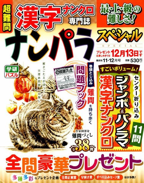 ナンパラSpecial 2017年11月号 (発売日2017年10月13日) 表紙