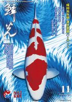 鱗光 2017年10月15日発売号 表紙