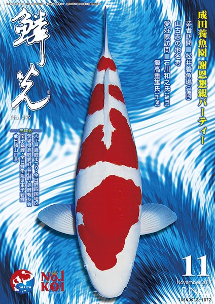 鱗光 2017年10月15日発売号 表紙