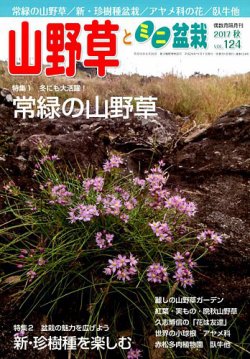 山野草とミニ盆栽 2017年11月号 (発売日2017年10月12日) 表紙