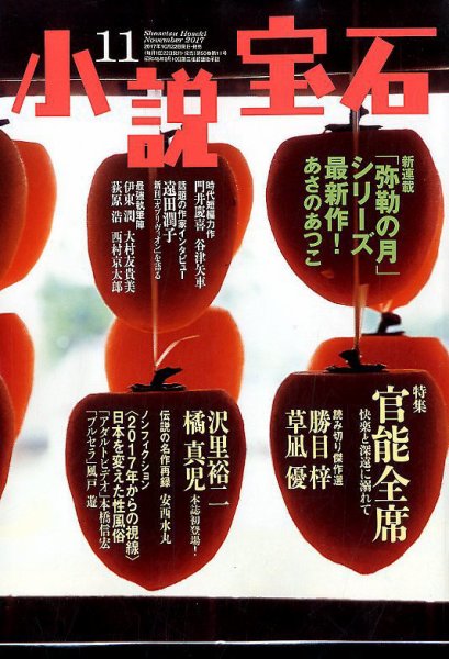 小説宝石 2017年11月号 (発売日2017年10月21日) 表紙