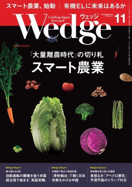 Wedge（ウェッジ） 2017年11月号 (発売日2017年10月20日) 表紙