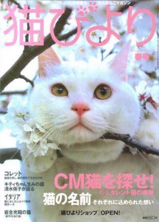 猫びより No.12 (発売日2003年03月12日) 表紙
