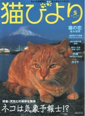 猫びより No.21 (発売日2005年04月12日) 表紙