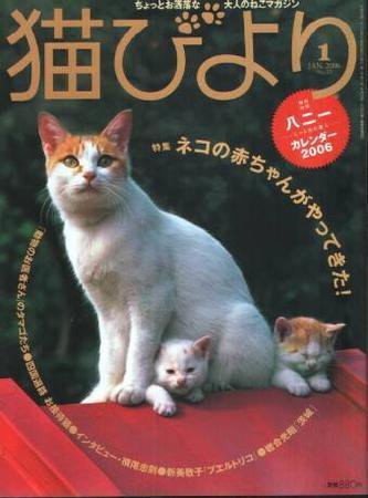 猫びより No.25 (発売日2005年12月12日) 表紙