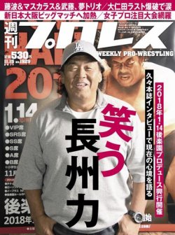 週刊プロレス 17年11 15号 発売日17年11月01日 雑誌 電子書籍 定期購読の予約はfujisan