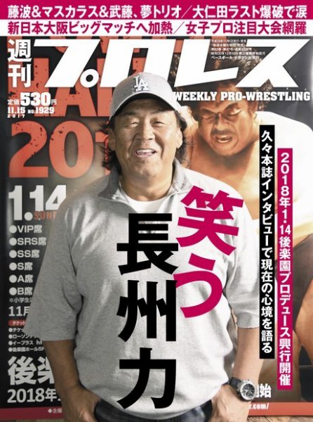 週刊プロレス 2017年11/15号 (発売日2017年11月01日) 表紙