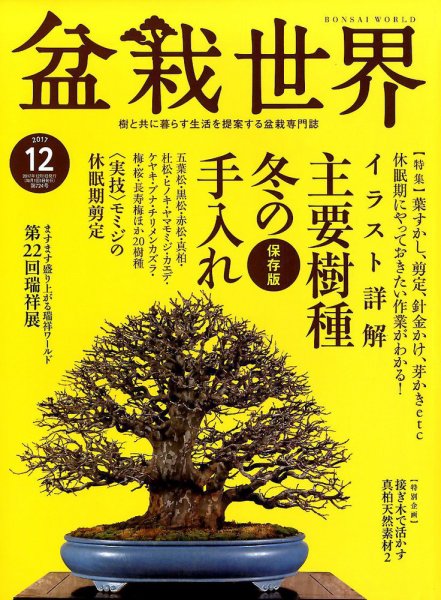 盆栽世界 2017年12月号 (発売日2017年11月04日) 表紙