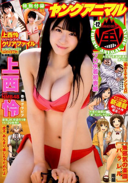 ヤングアニマル嵐 2017年12/1号 (発売日2017年11月02日) 表紙