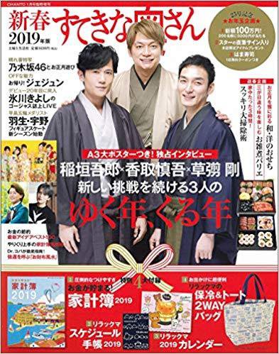 すてきな奥さん 2019年度版 (発売日2018年11月21日) 表紙