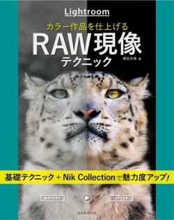 Lightroom カラー作品を仕上げるRAW現像テクニック 2017年05月30日発売号 表紙