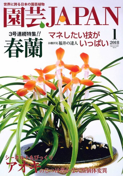 園芸Japan 2018年1月号 (発売日2017年12月12日) 表紙