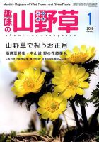 趣味の山野草 2018年1月号 (発売日2017年12月12日) | 雑誌/定期