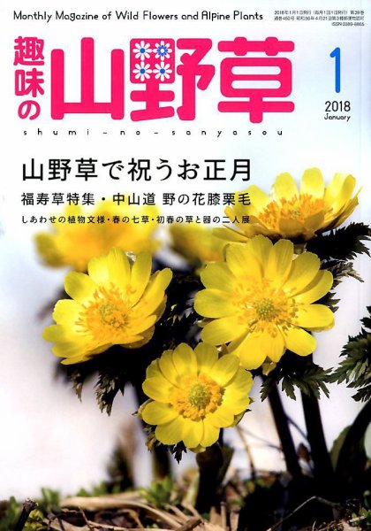 趣味の山野草 2018年1月号 (発売日2017年12月12日) 表紙