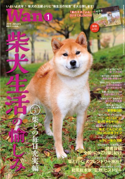 wan（わん） 2018年1月号 (発売日2017年12月14日) 表紙