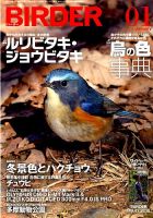 BIRDER（バーダー） 2018年1月号 表紙