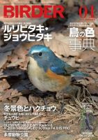 BIRDER（バーダー） 2018年1月号 (発売日2017年12月16日) 表紙