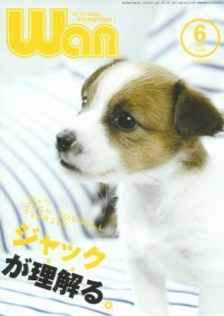 Wan わん 07年6月号 発売日07年05月14日 雑誌 電子書籍 定期購読の予約はfujisan