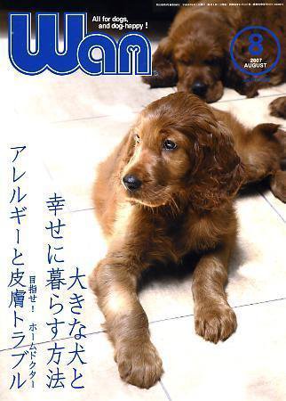 wan（わん） 2007年8月号 (発売日2007年07月14日) 表紙